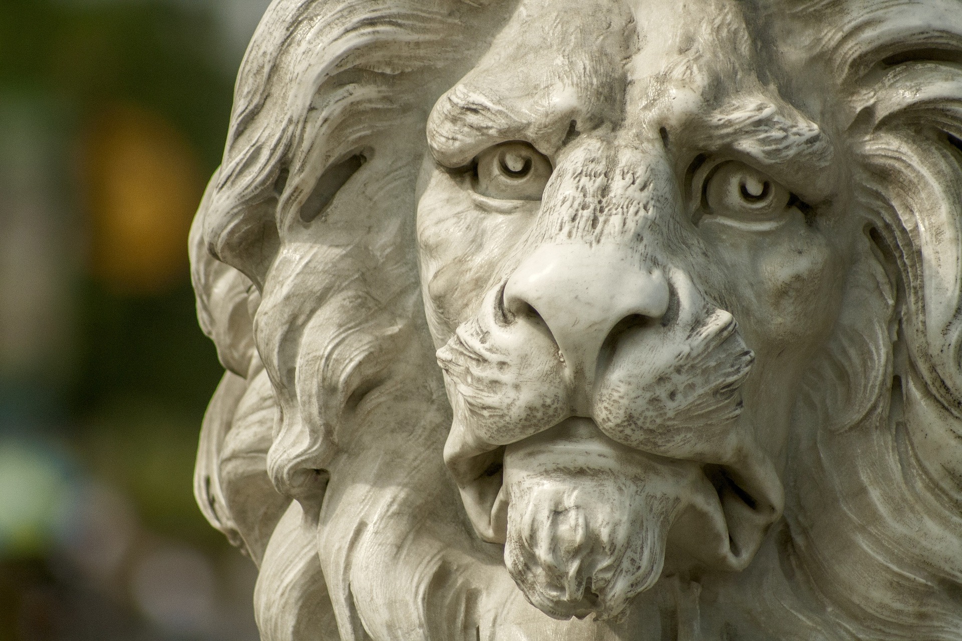 I Know You Lion....Get it